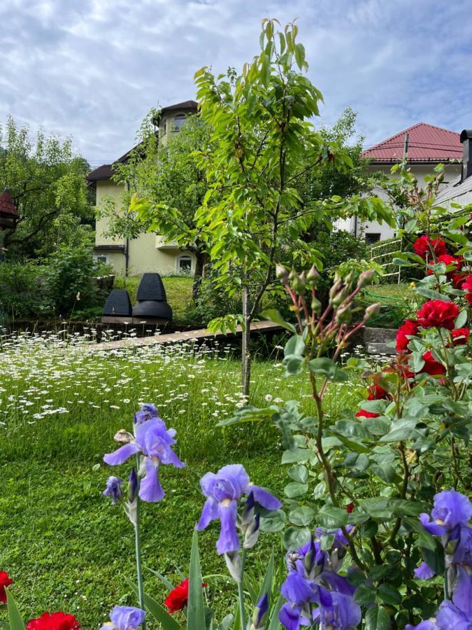 Spodnja Idrija Riverside Villa Avo - Apartment Martin מראה חיצוני תמונה