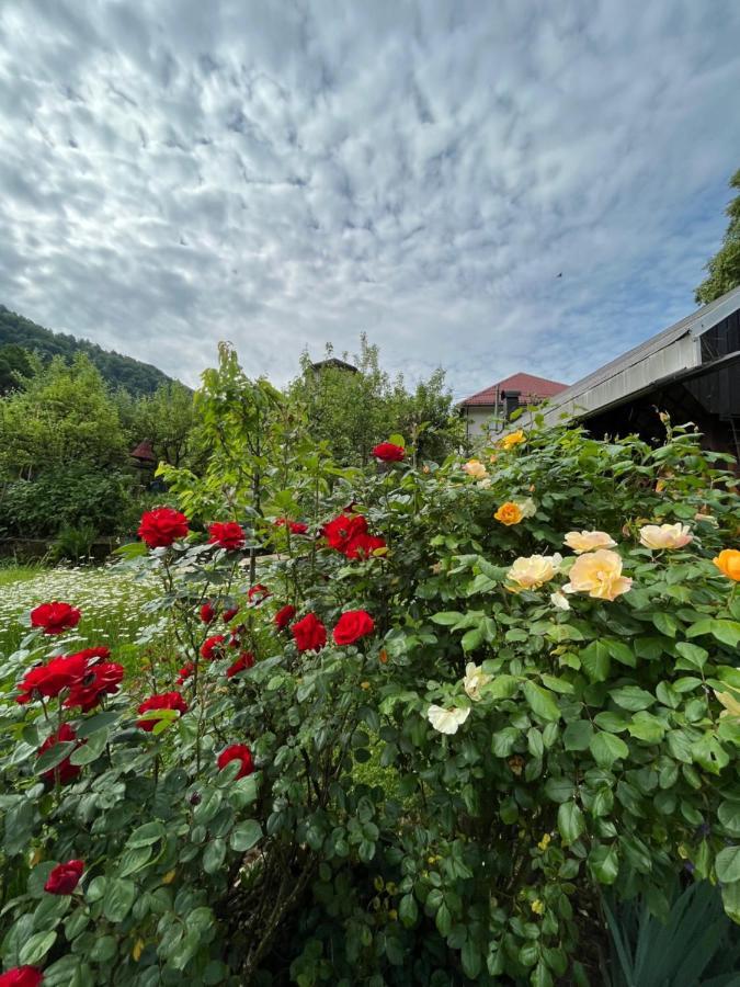 Spodnja Idrija Riverside Villa Avo - Apartment Martin מראה חיצוני תמונה